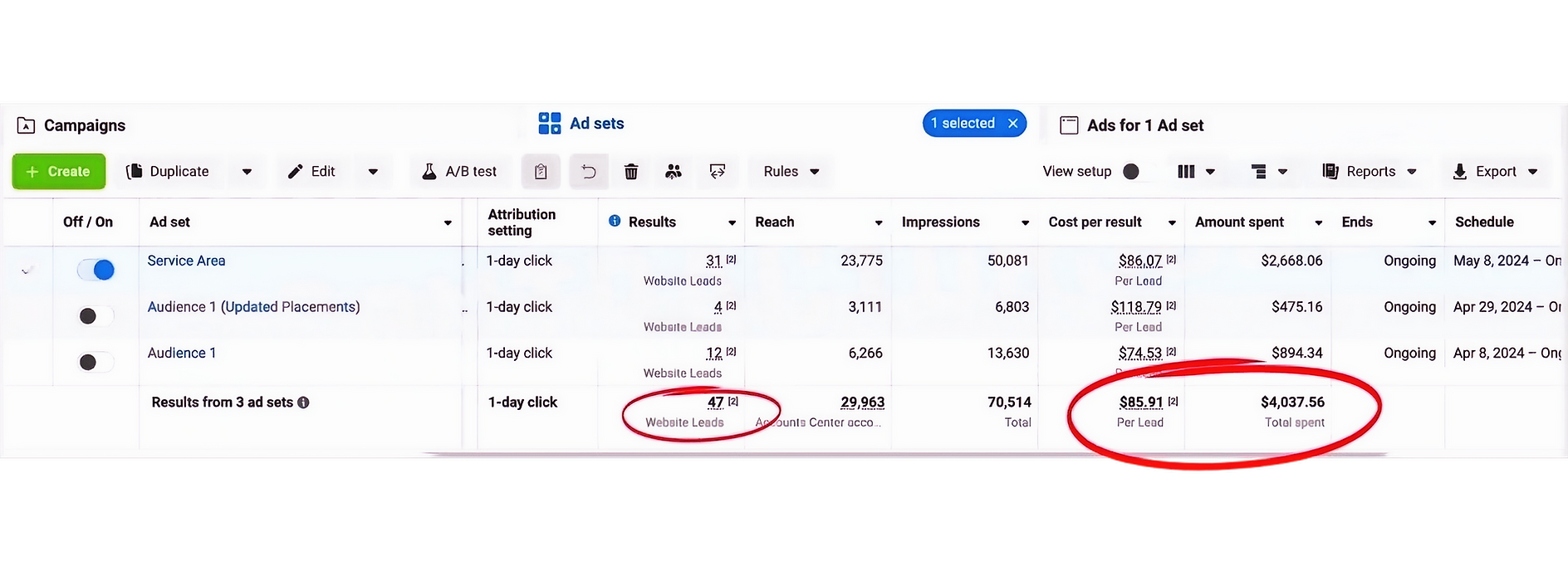 Recent Campaign Results: 47 Website Leads with $85.91 Cost Per Lead
